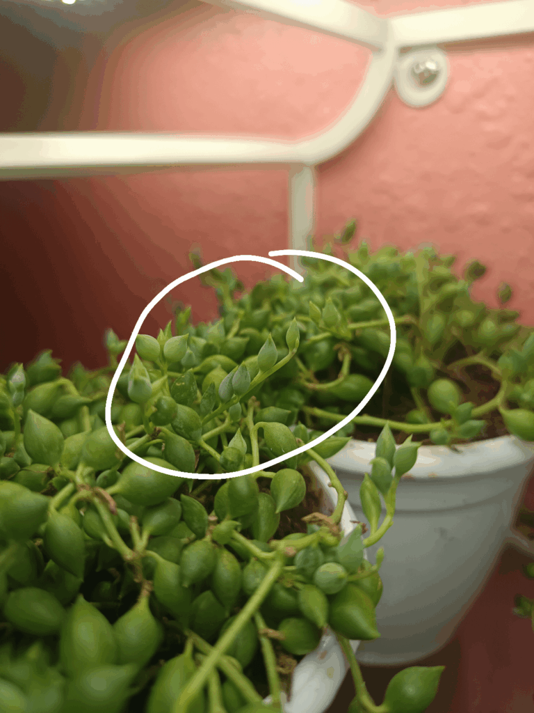Need help with these.