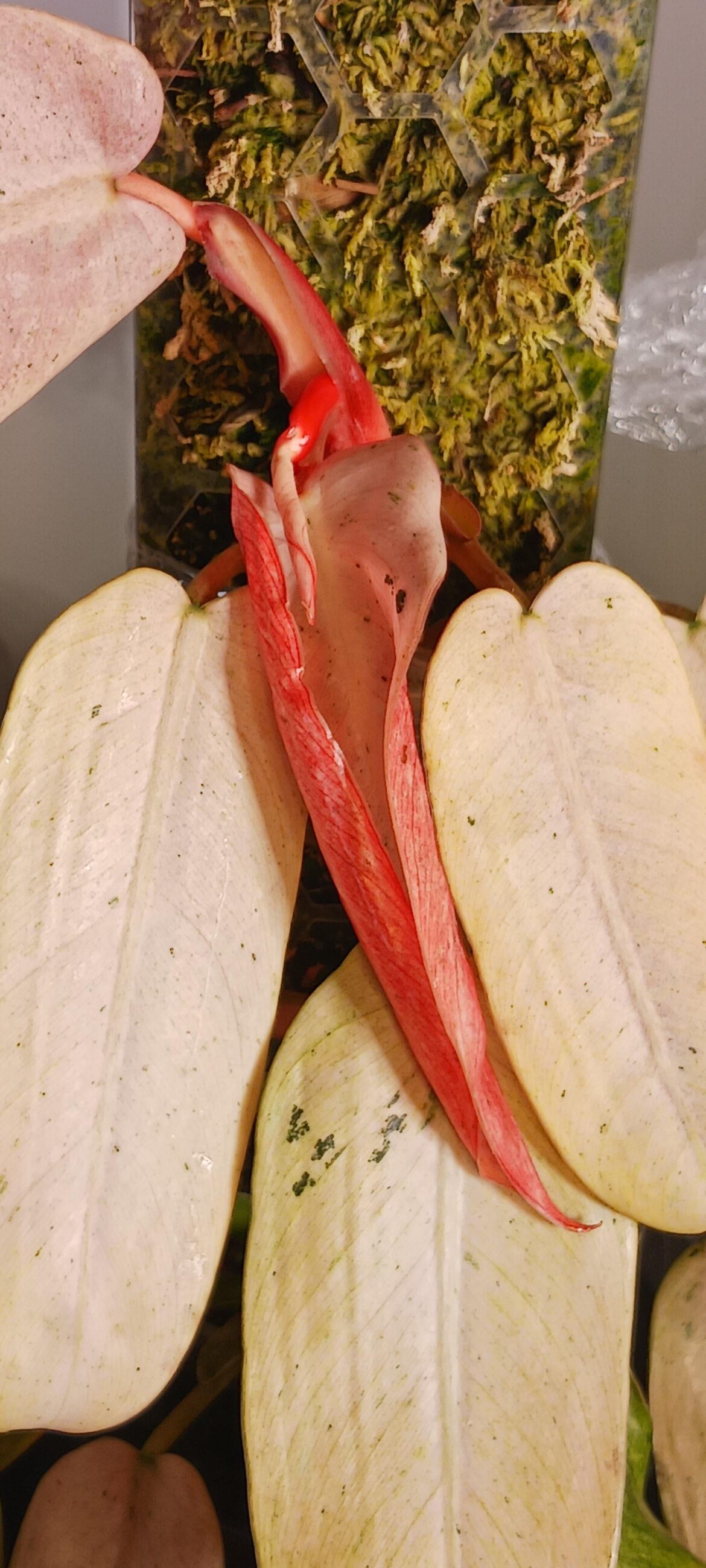 Well this is a first