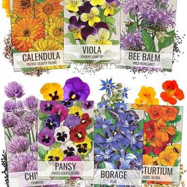 Seed Needs, Edible Wildflower Seed Packet Collection (7 Varieties of Flower Seed for Planting) Non-Gmo &amp; Untreated - Includes Viola, Pansies, Chives, Borage, Calendula, Nasturtium and Bee Balm