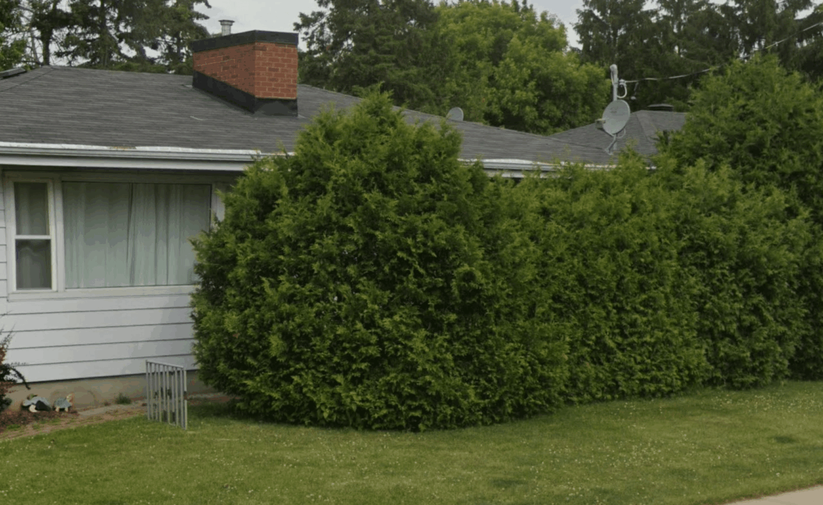 They've taken over, whatever they are