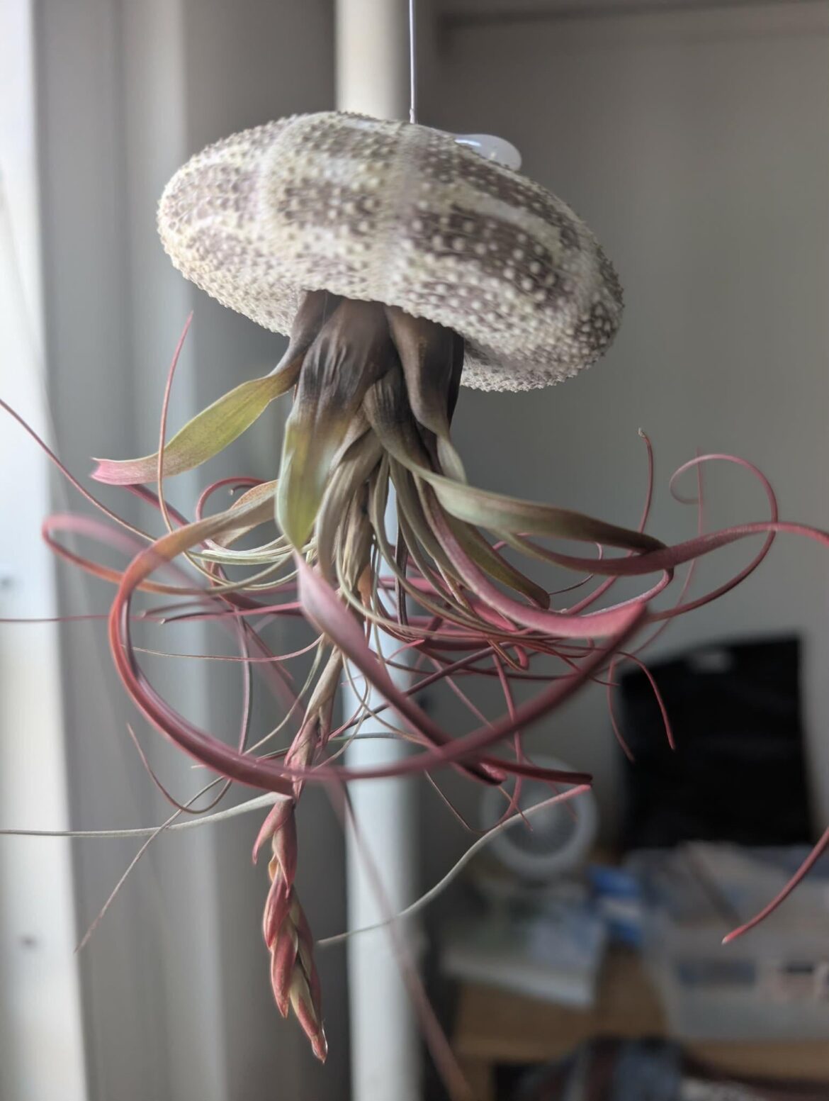 Is there a way to save this?