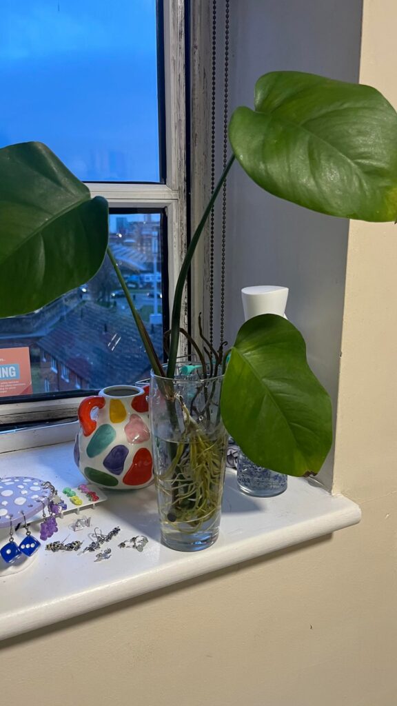 Should I cut off the bottom leaf? Should I cut off the bottom leaf?