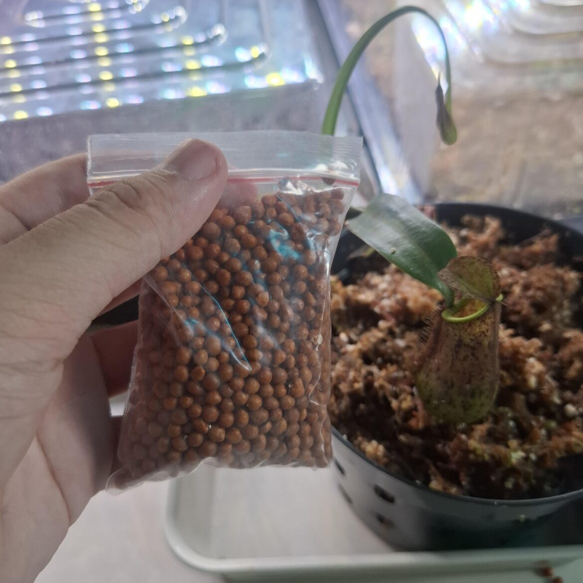 I only put one slow release in a pitcher, is it enough??