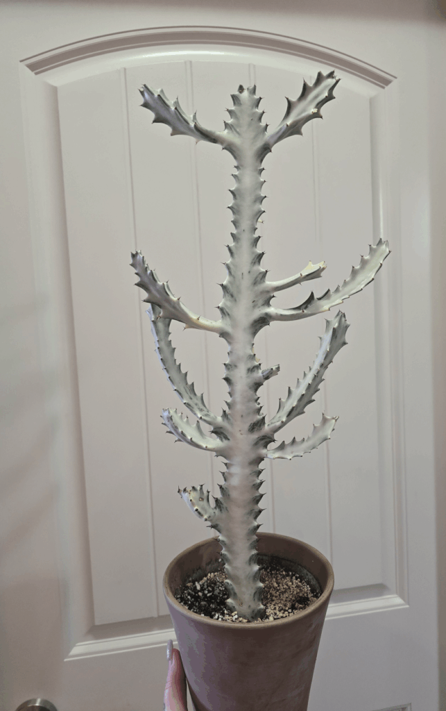 One of my favorites 😍