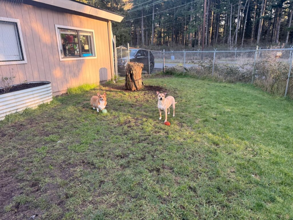 Can this be salvaged?