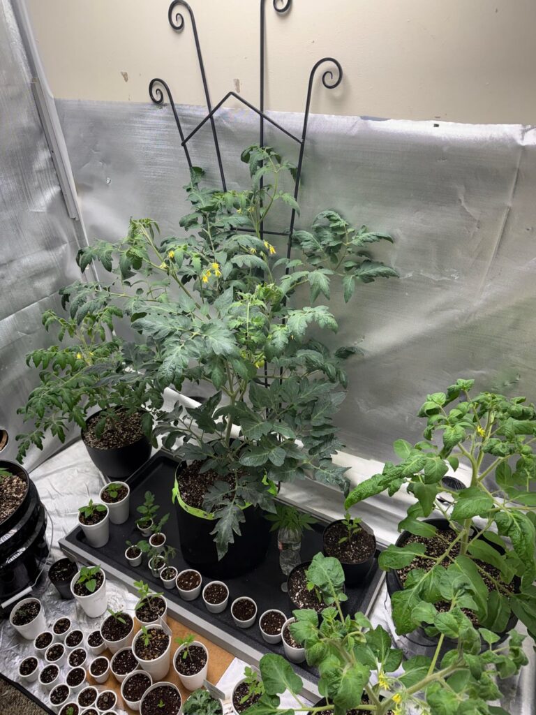 Ain’t she a beaut! 😍