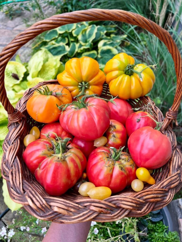 Dreaming of warmer weather and veg in Ohio