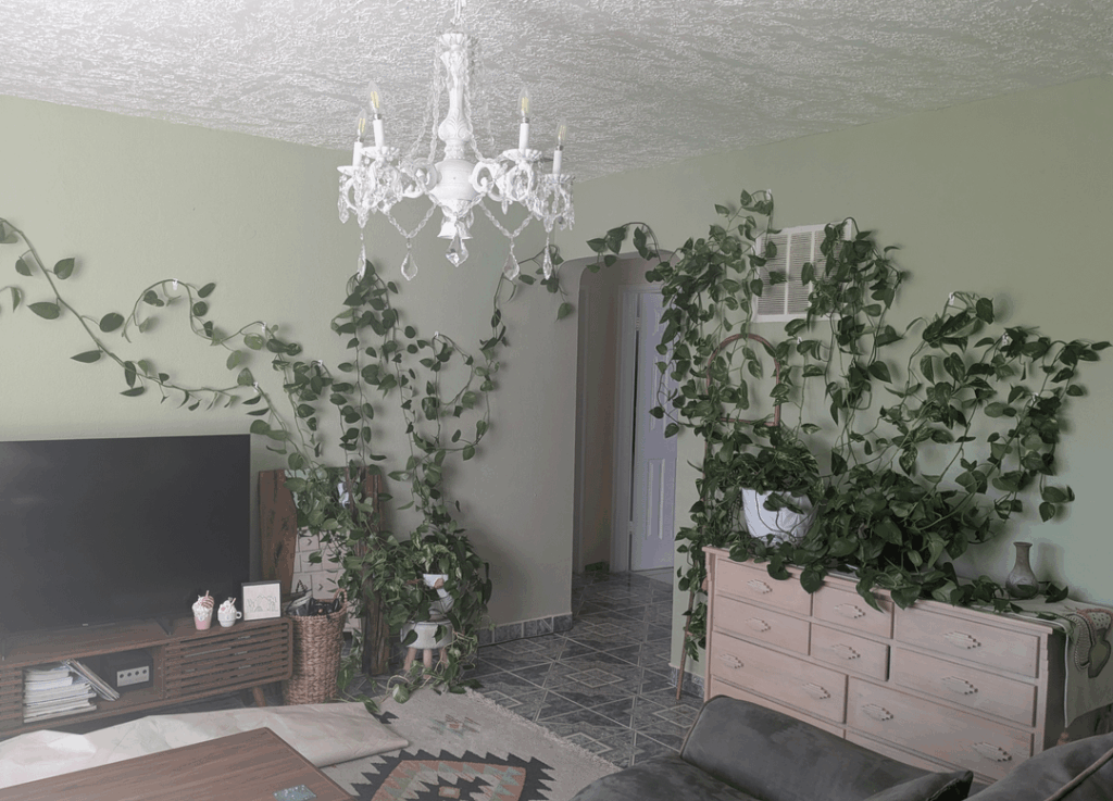 Is this enough sunlight?