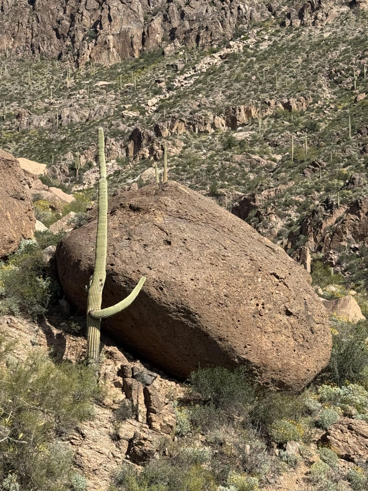 Doing his absolute best