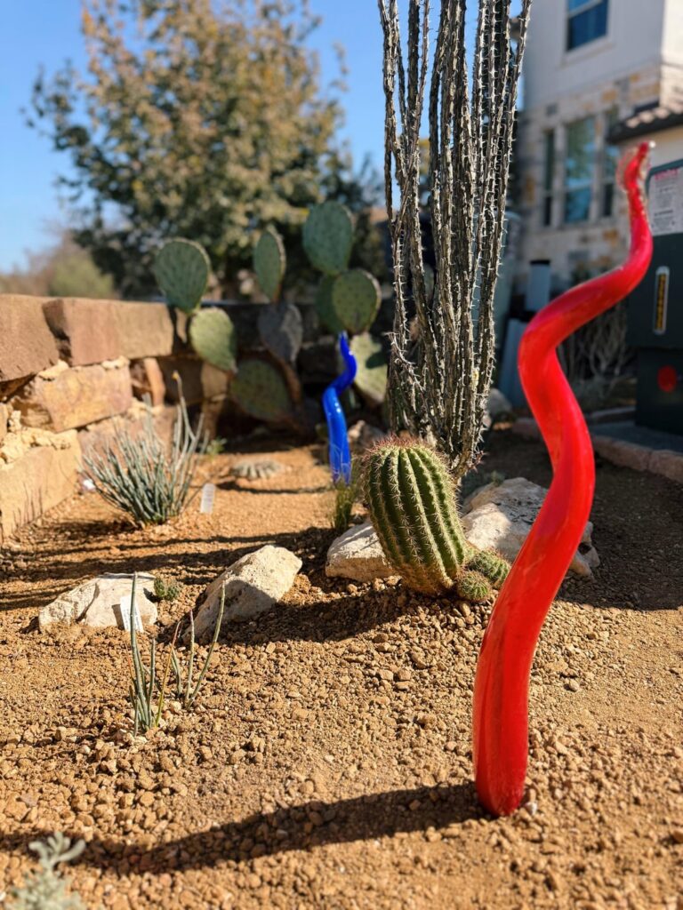 Austin Xeriscaping: ✅