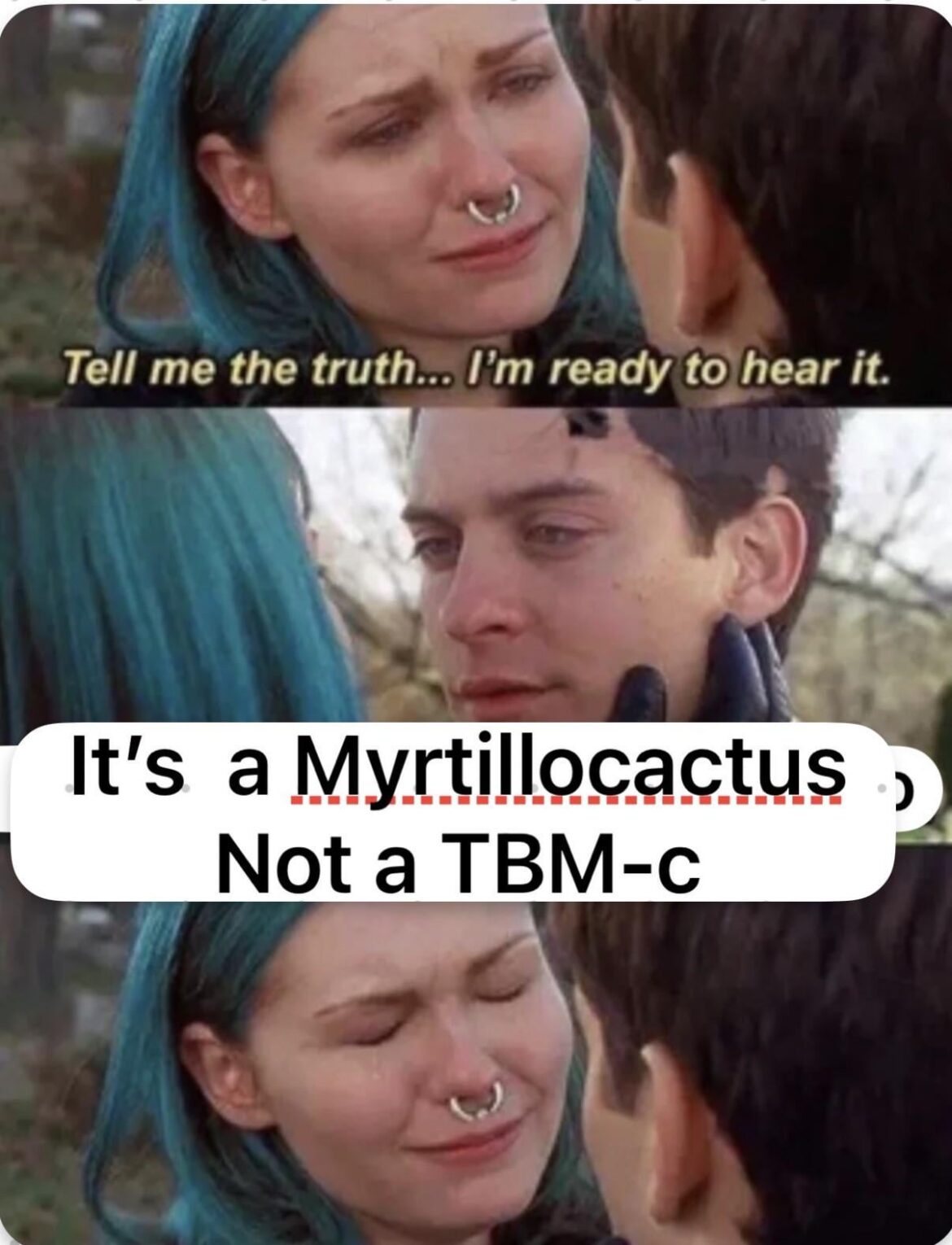 Dinosaur PenisCactus Blues !!!