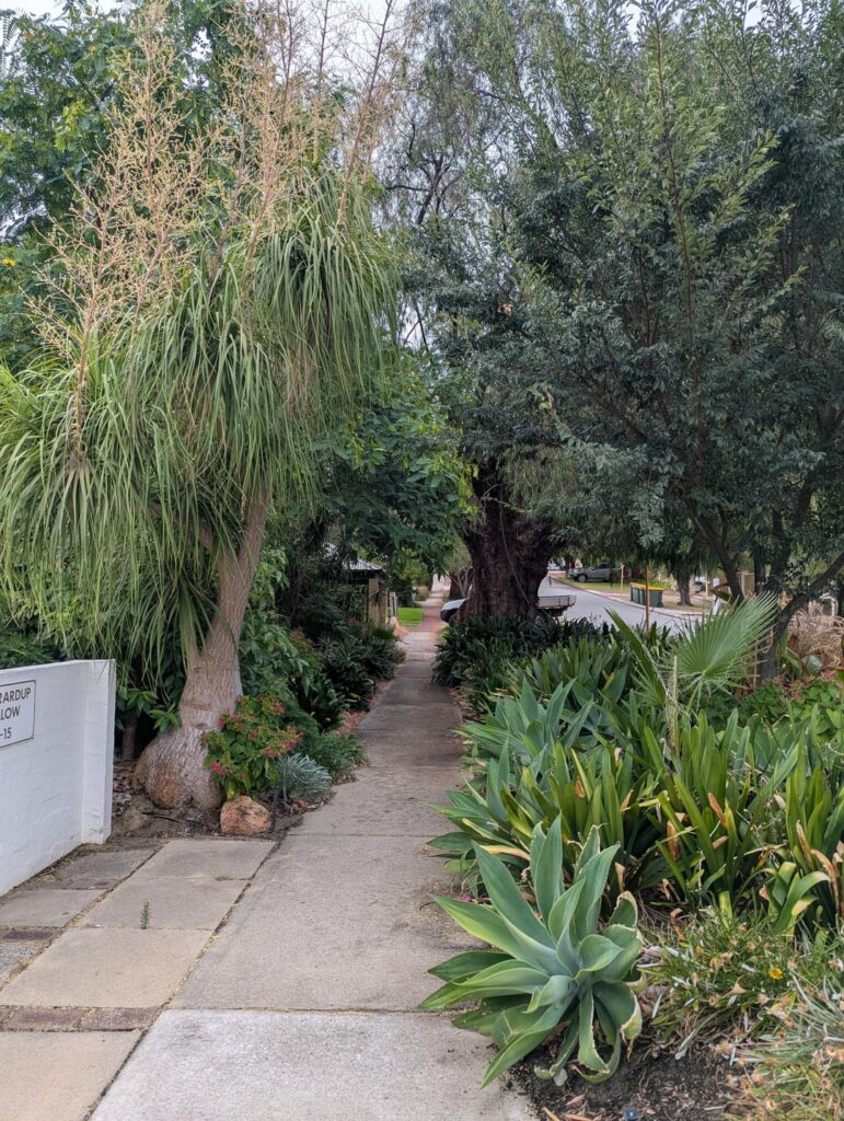 Lovely to walk through on a 40°C day