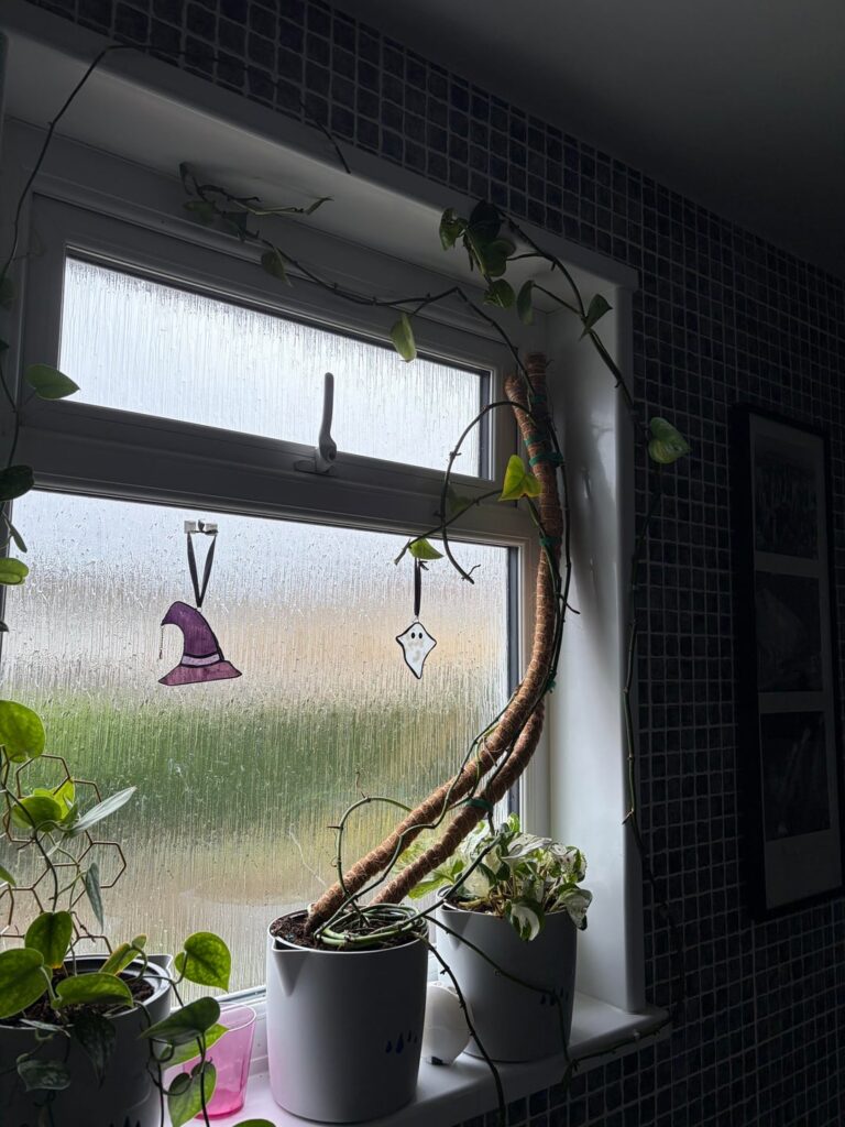 Is it too late for my pothos?