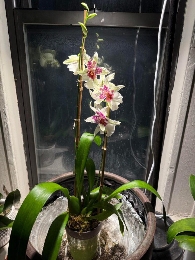 Uh oh, now what do I do? Uh oh, now what do I do?