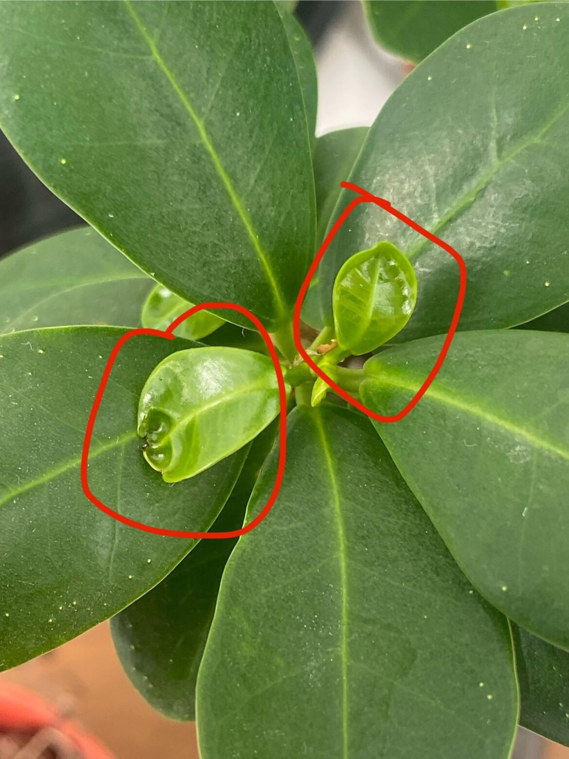 Should i concern about this? HELPP