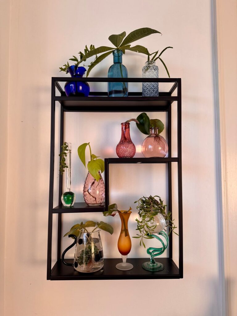 my propagation station