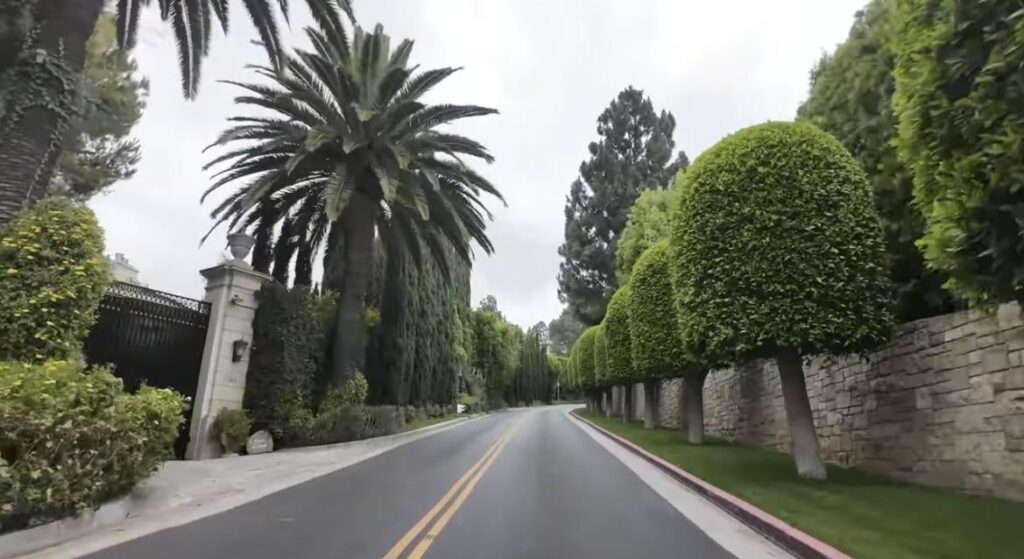 Not a plant but need identification