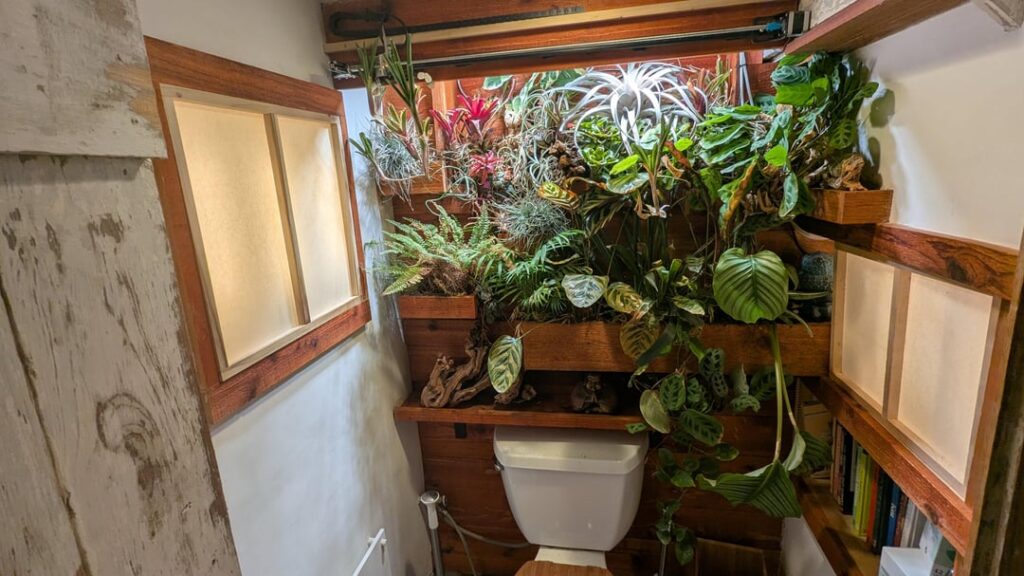 Toilet jungle upgrade