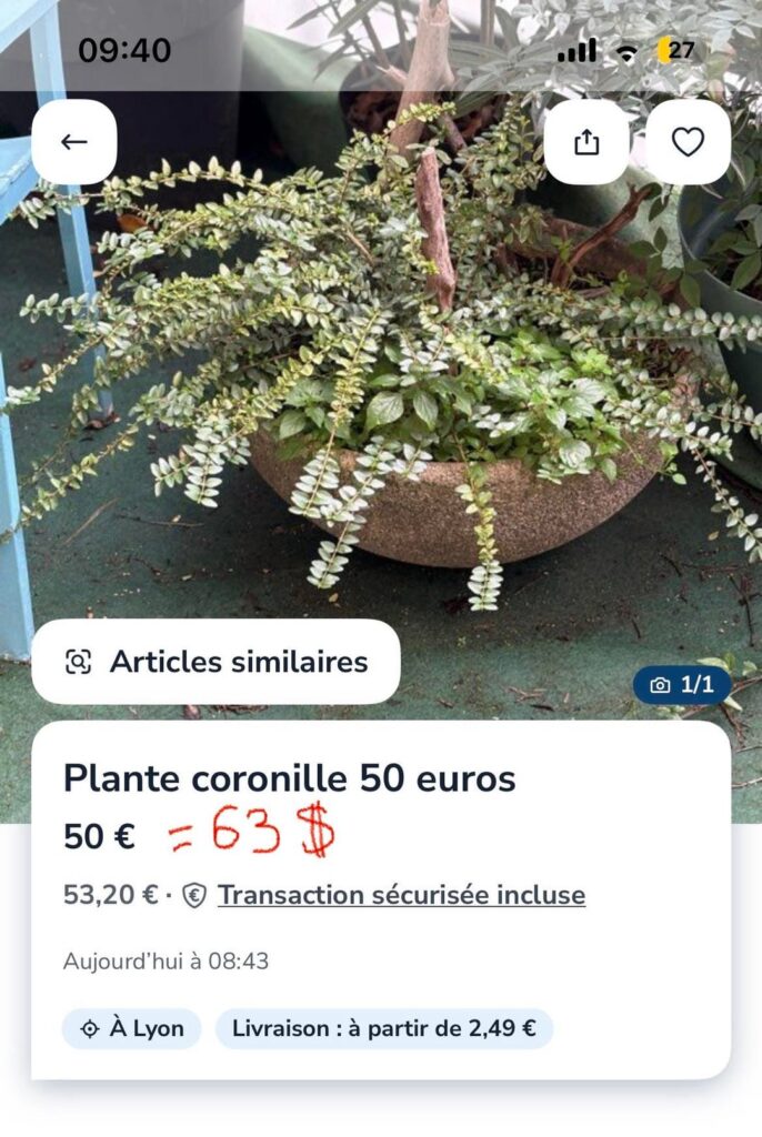 That’s the kind of optimism I want in my life ✨