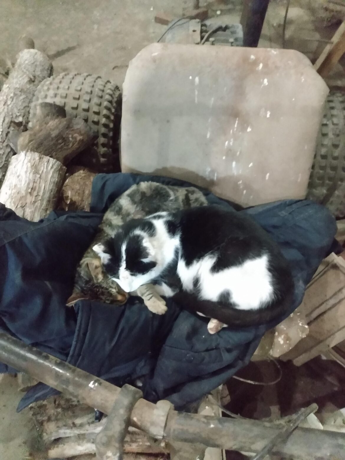 Welp I guess I'm leaving my coat in the shop tonight