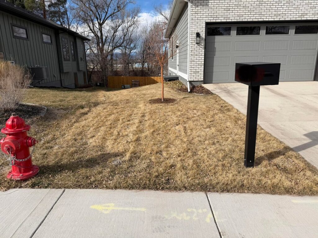 I want to convert a portion of my front lawn to a garden but we need an access point from driveway to the side of the house and all the way back. Where should I put the path?