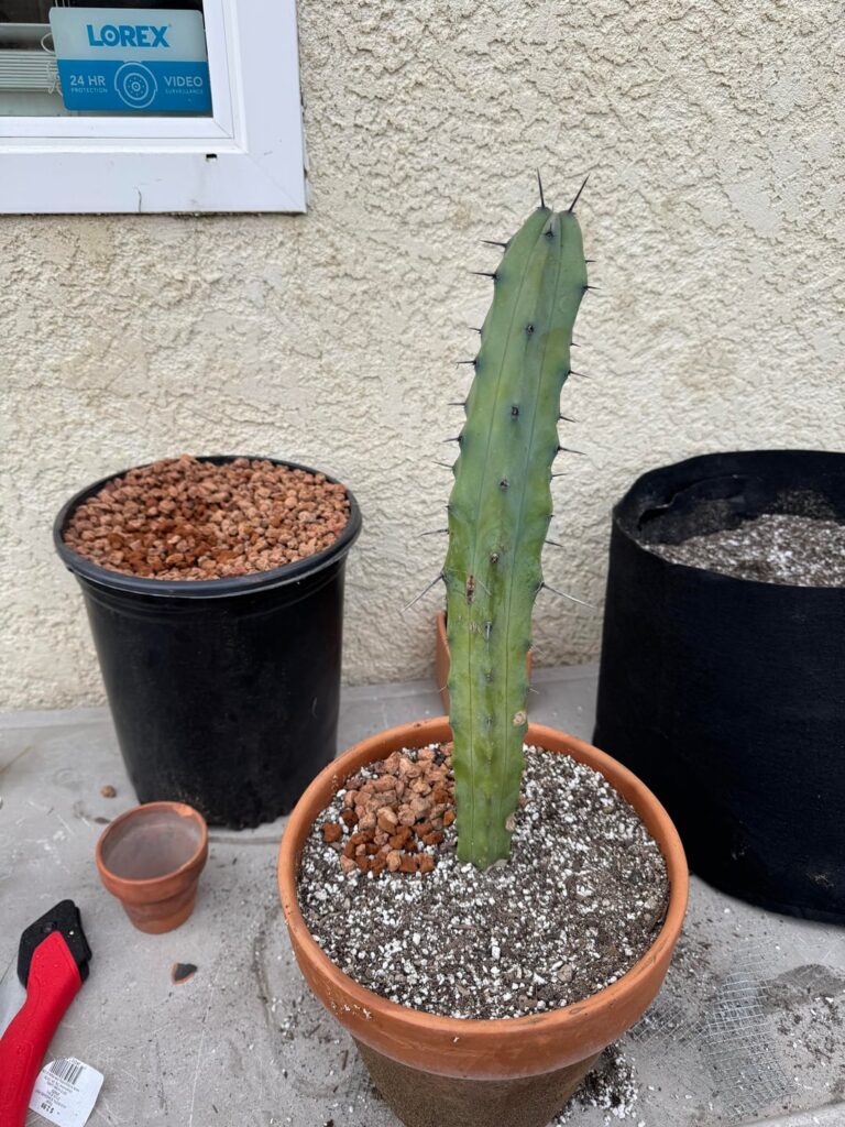 Can’t wait for warmer weather