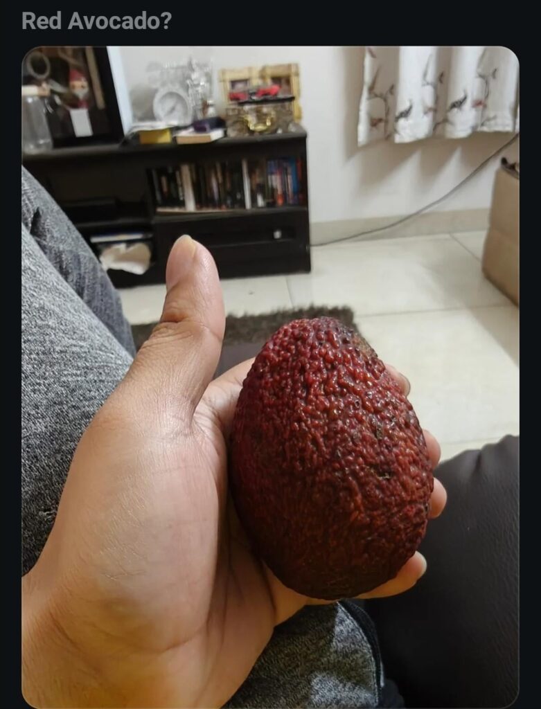 I can't eat it without some karma