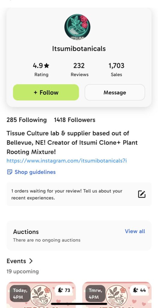 Anyone know where to find Green on Green monstera TCs? Anyone know where to find Green on Green monstera TCs?