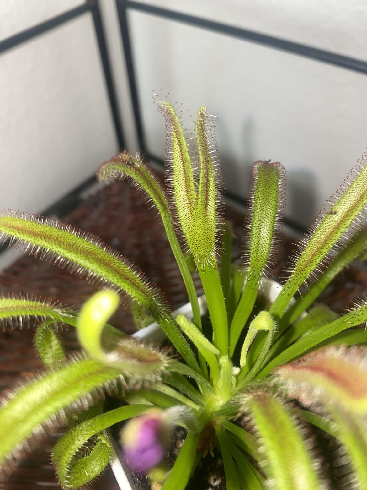 Well it’s forked not in a bad way tho XD