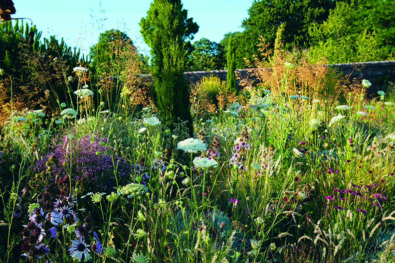 The Knepp Walled Garden, Shipley West Sussex, UK, with a variety of wildflowers and tall grasses.