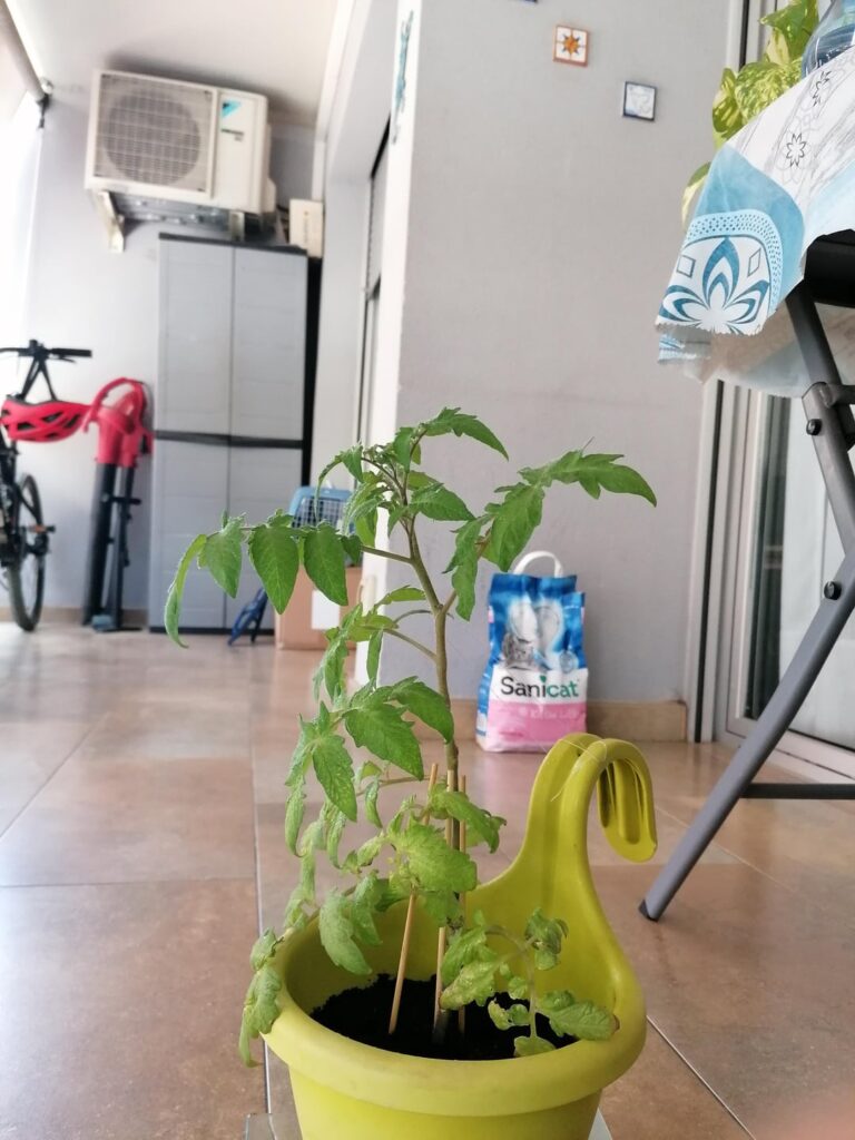 Standing strong