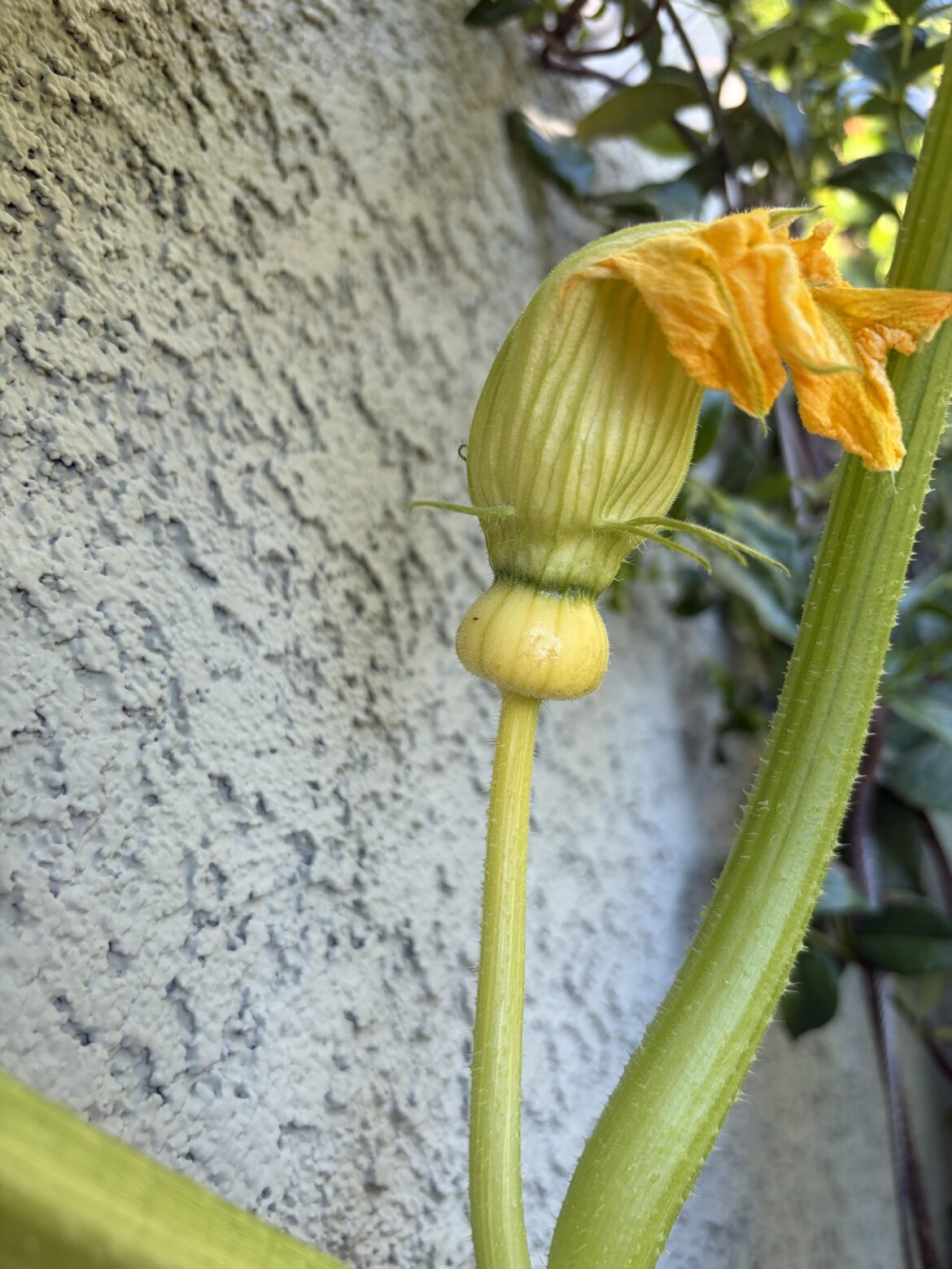 What do you think this is? What do you think this is?