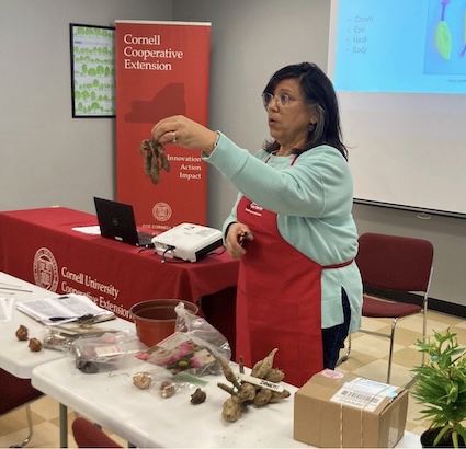 Master Gardener offering Spring Dahlia Clinic on March 28 at CCE Master Gardener offering Spring Dahlia Clinic on March 28 at CCE
