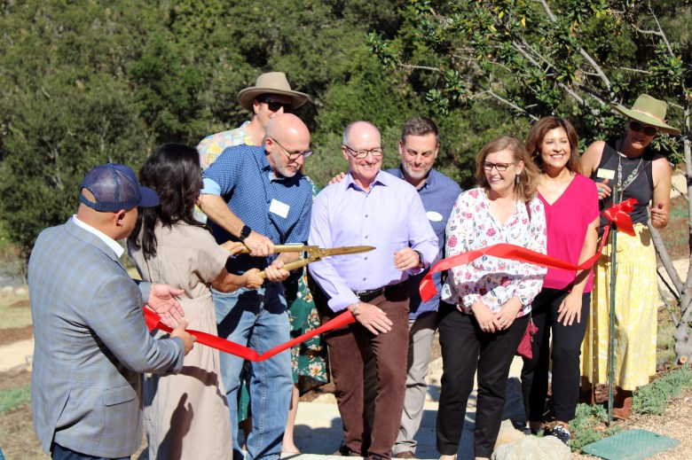 The Santa Barbara Botanic Garden hosts a ribbon-cutting ceremony Friday to celebrate the opening of its new Torrey Pine Conservation Grove.