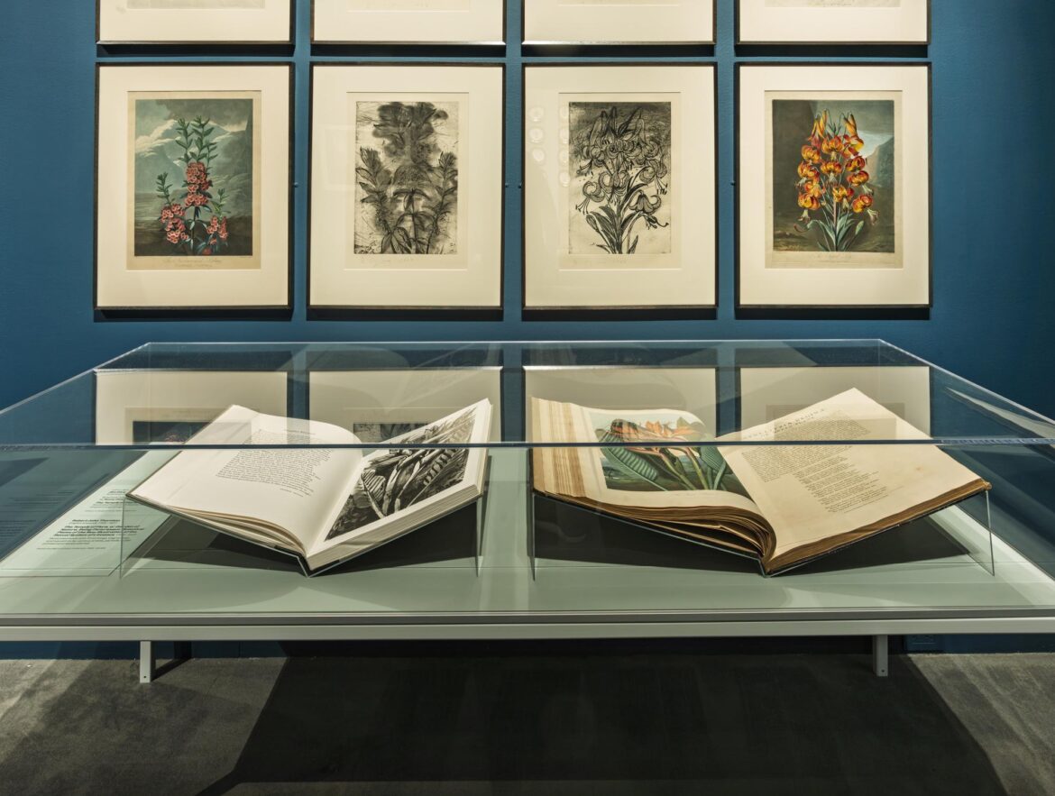 ‘Framing Nature’ at the MFA showcases the societal power of garden spaces ‘Framing Nature’ at the MFA showcases the societal power of garden spaces