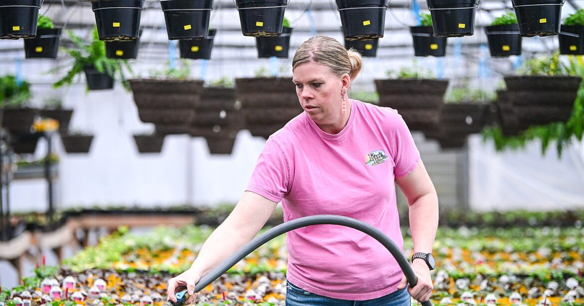 Plant Land helps customers spring into the gardening season