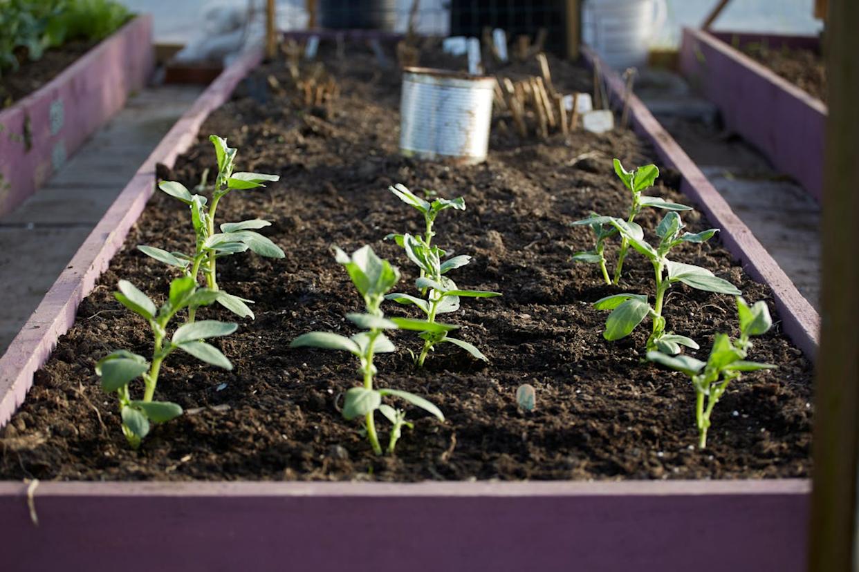 Image source: Pexels.com