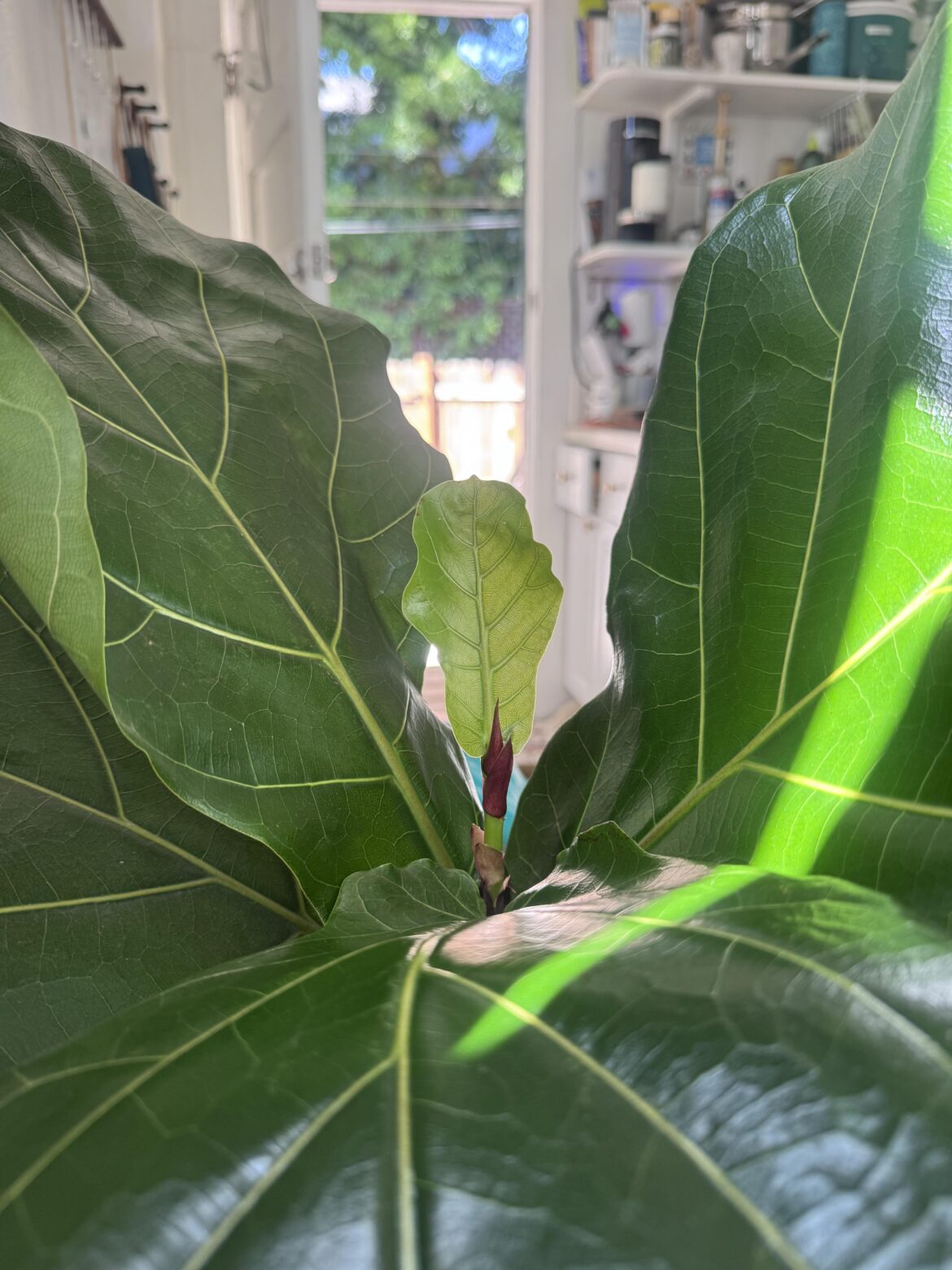 So proud 🥹