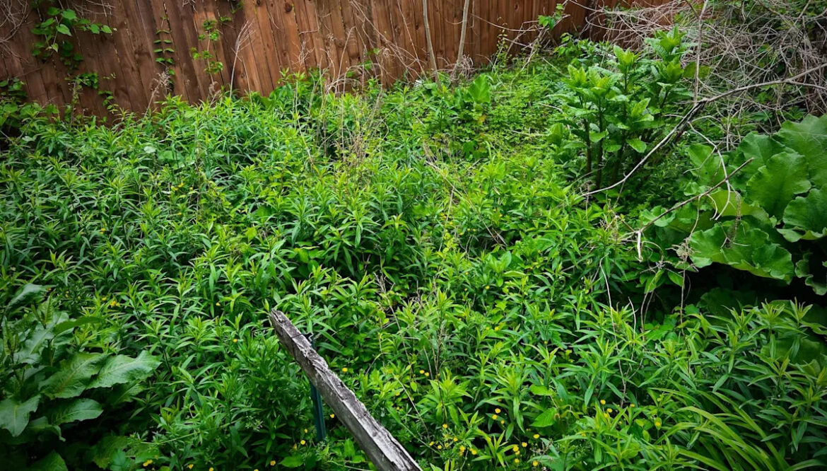 ‘I just let it go’ Yahoo lifestyle home