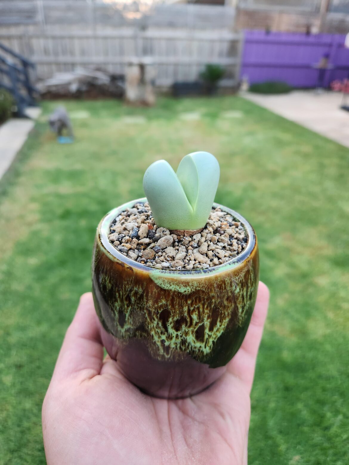 ID please??