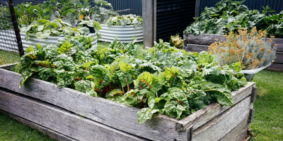 10 Easy Ways to Clean and Prep Garden Beds for Spring Gardening