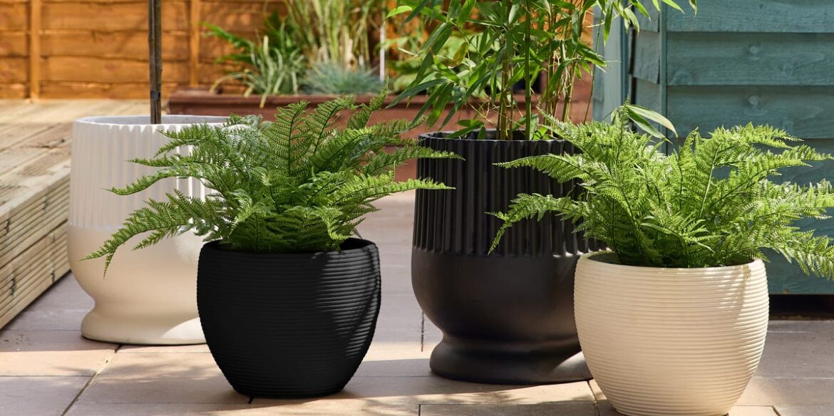 8 Great Value, Plus-Size Plant Pots That Will Sell Out Before Summer 8 Great Value, Plus-Size Plant Pots That Will Sell Out Before Summer