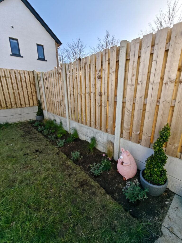 Beginners Landscaping