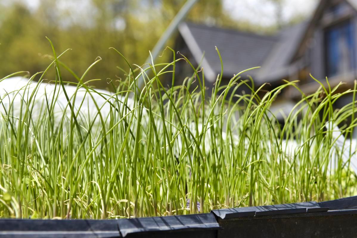 Photo by Albany Times Union&sol;Hearst Newspapers on Getty Images