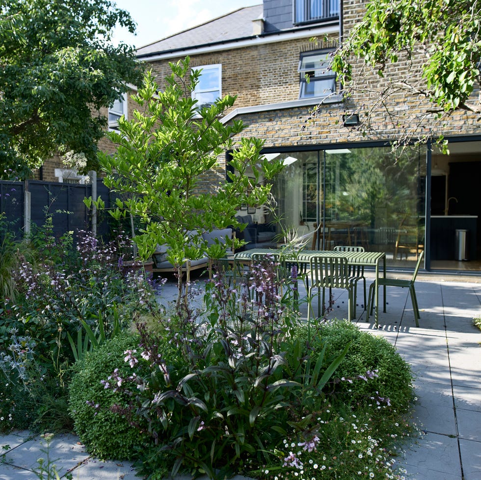 decorative plants and bushes in back yard of modern townhouse