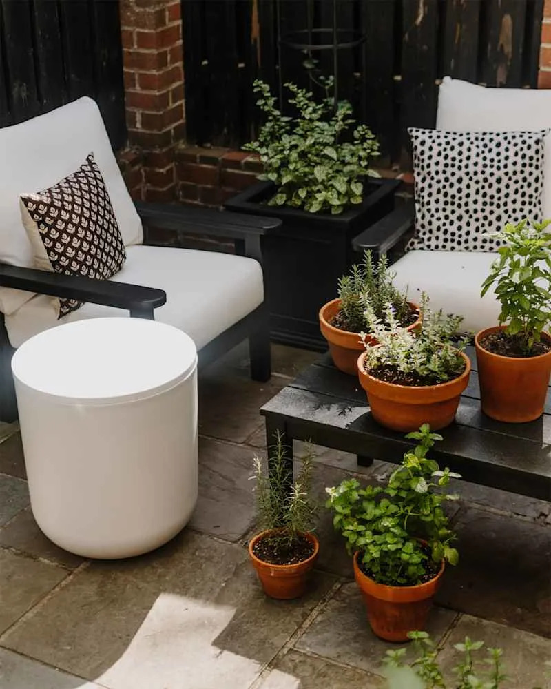 Small backyard container garden.