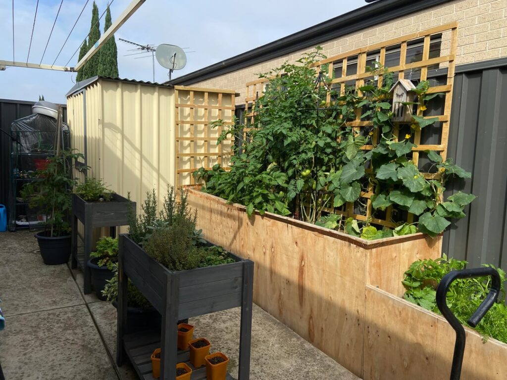 Not too bad for a beginner◡̈