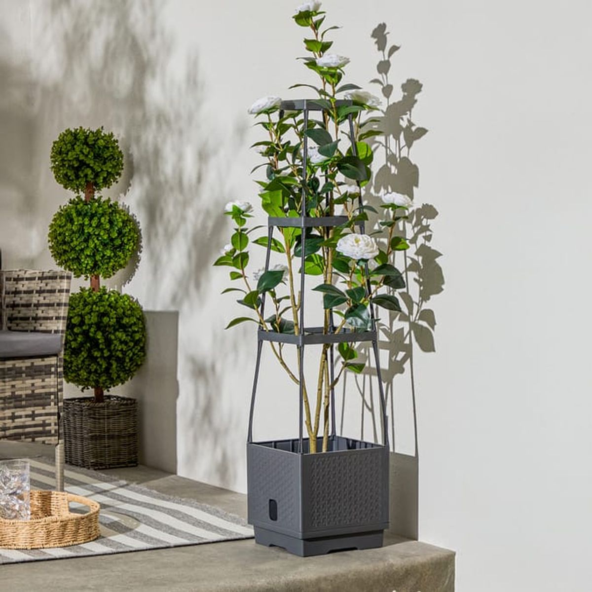 Home Bargains is selling the Jardin Self-Watering Planter