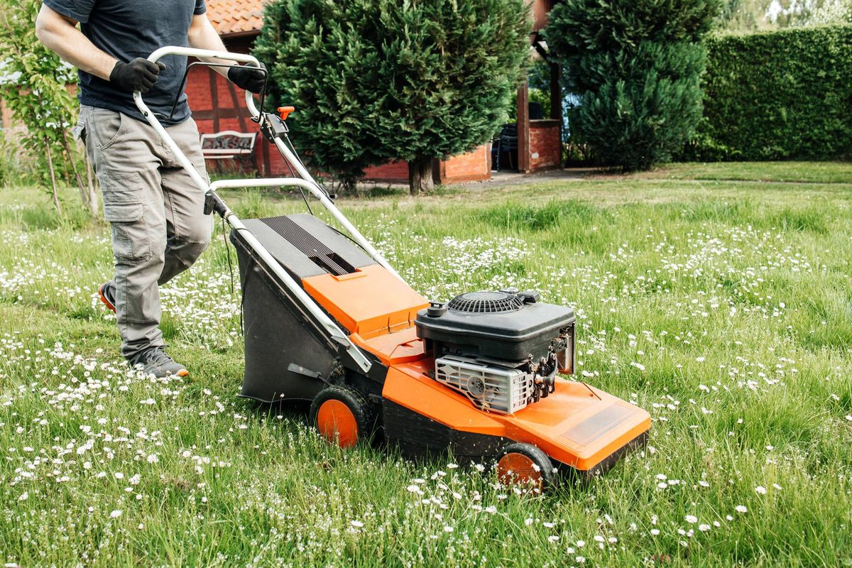 A man mows the grass with an electric lawn mower.