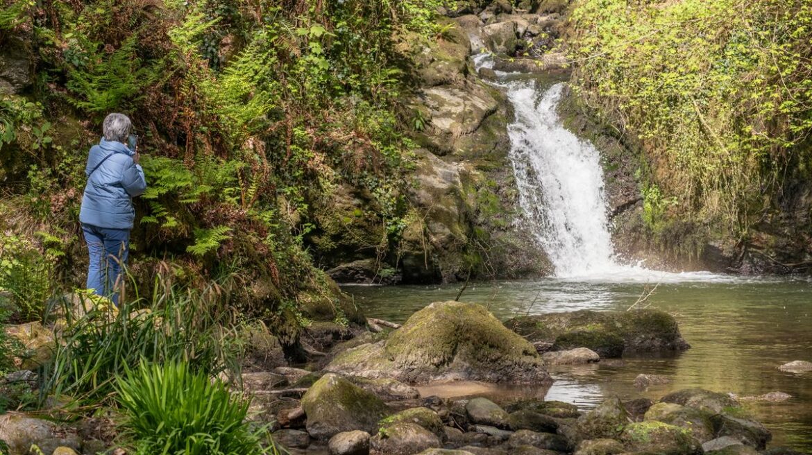 Anglesey’s ‘hidden’ gardens bid to capture nation’s hearts North Wales Live